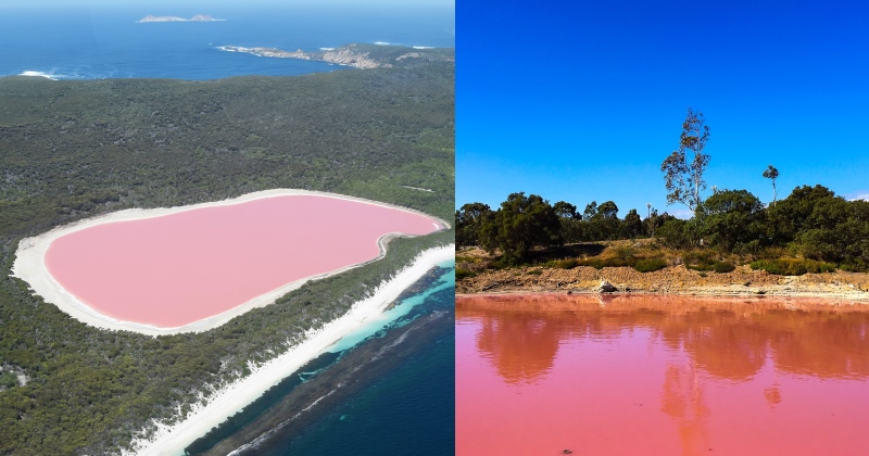 Lacuri Roz Lacul cu apă roz din Australia. Care este explicația | Unica.ro